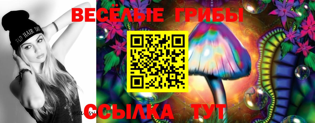 Галлюциногенные грибы GOLDEN TEACHER  Вход с VPN  Псилоцибиновые грибы ЛСД  Елец 